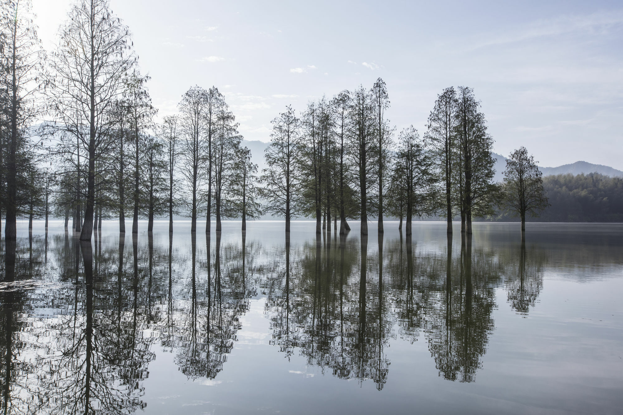 Banyan Tree Hotel Huangshan-The Ancient Charm Of Huizhou, A Paradise מראה חיצוני תמונה